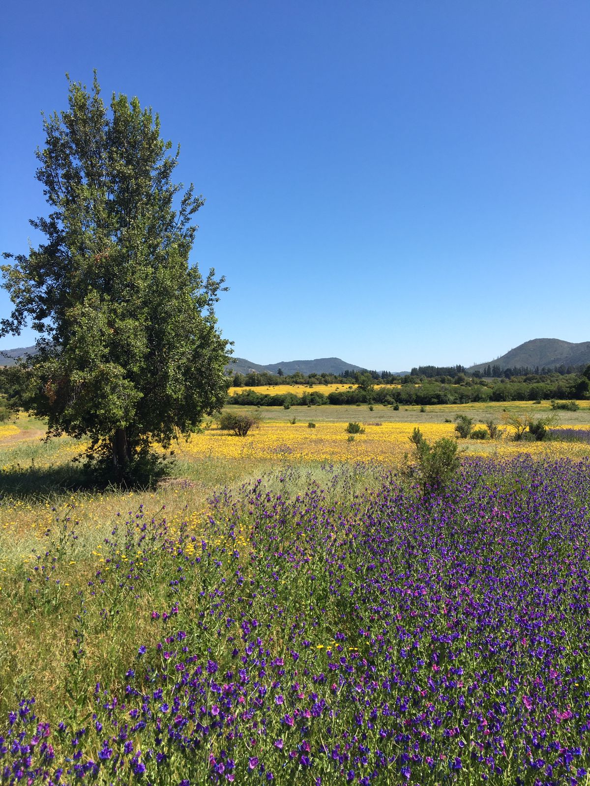 Brisas del Campo un lugar para descansar